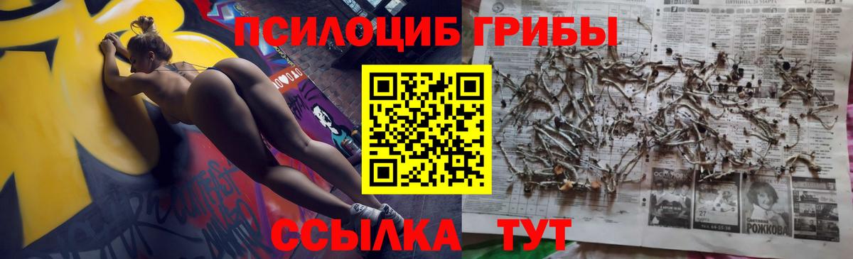 Галлюциногенные грибы прущие грибы Канаш